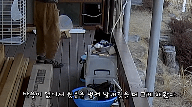 매맞는 삶을 살고있는 매탈남 근황 | 인스티즈