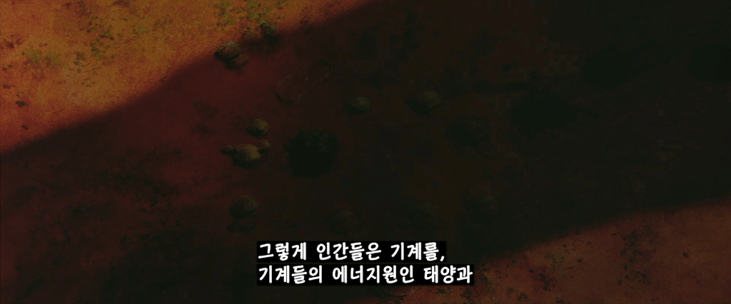 어이없지만 인간이 태양을 없애버린 이유.jpg (엥 이게 이거라고⁉️) | 인스티즈