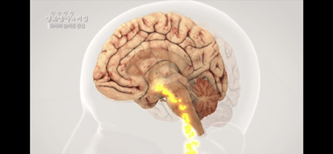 ea48a98036113fb49dd10dfb2f09f87788a7dae7