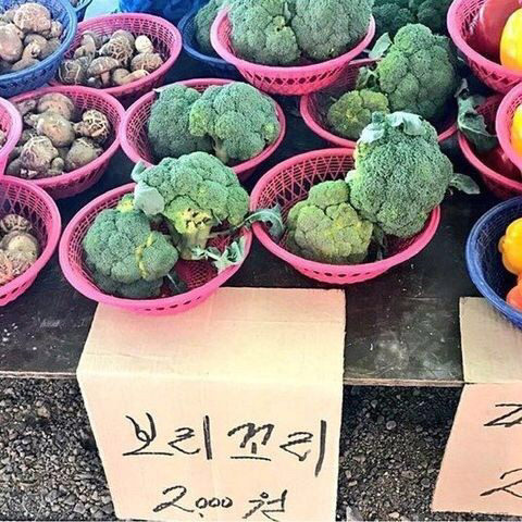 ea5d27d2fc3e6ede27c13ebeea3e885372d28908