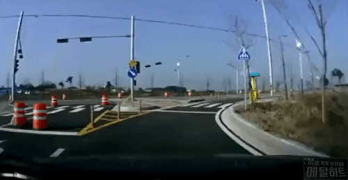 K9 전복 사고 | 인스티즈