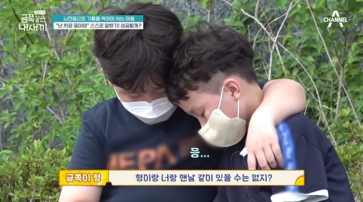 [금쪽같은내새끼] 뇌파전사 금쪽이 곁의 천사,"형이 너랑 매일 같이 있을 순 없어" | 인스티즈