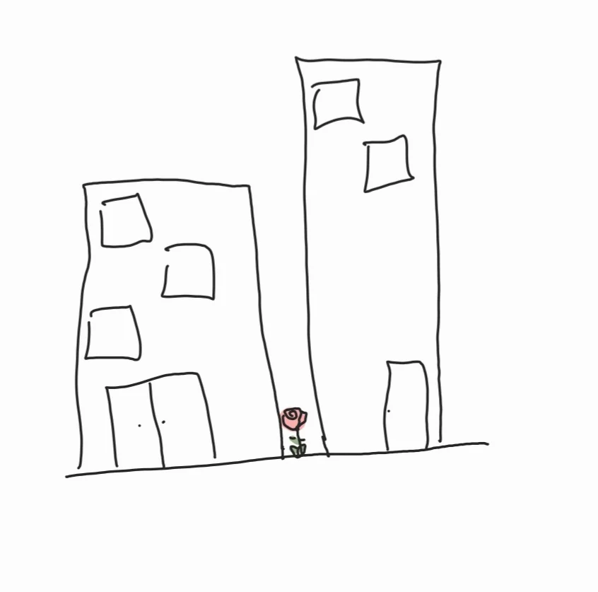 건물 사이에 피어난 장미 이중에 뭐라고 생각함? | 인스티즈