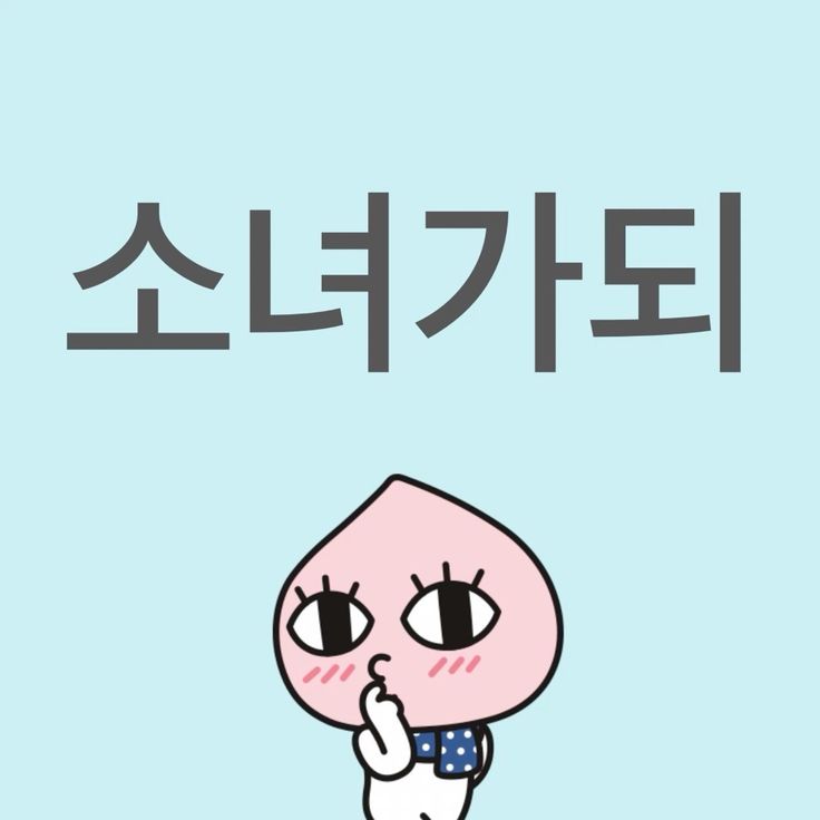 걍 2024년 밈 결산 그 자체인 탄핵 시위 피켓들 상태.twt | 인스티즈