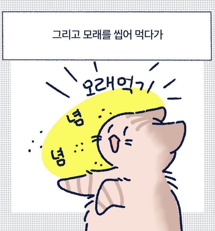 아깽이들은 왜...? | 인스티즈