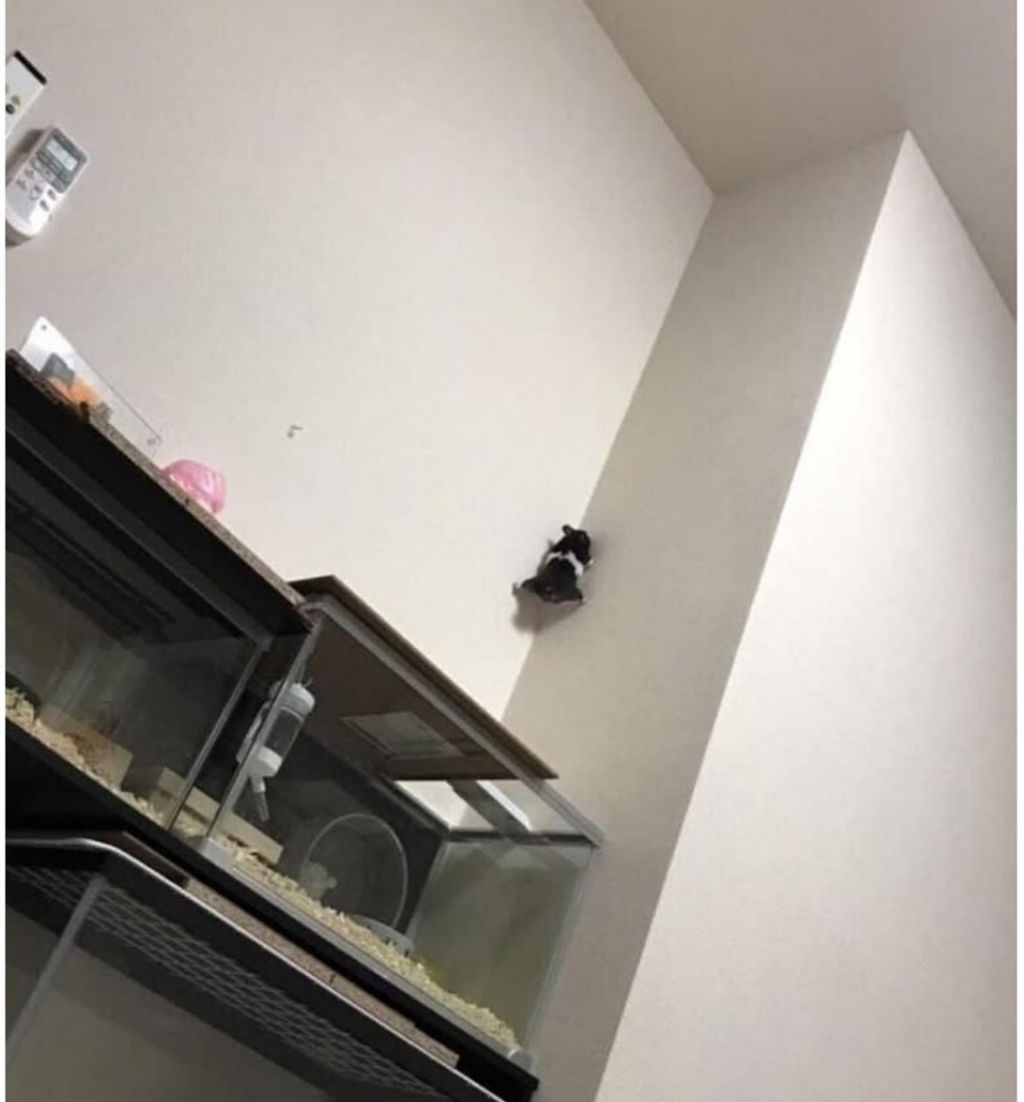 집에 언제 오냐고 아빠가 물어보는데 | 인스티즈