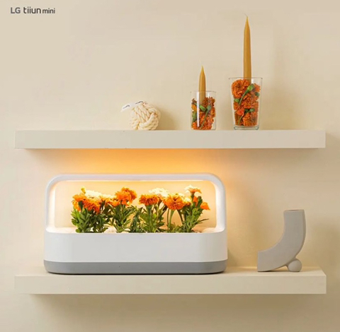 내가 사고 싶어서 찾아본 LG 틔운 미니 (가정 식물 재배기) | 인스티즈