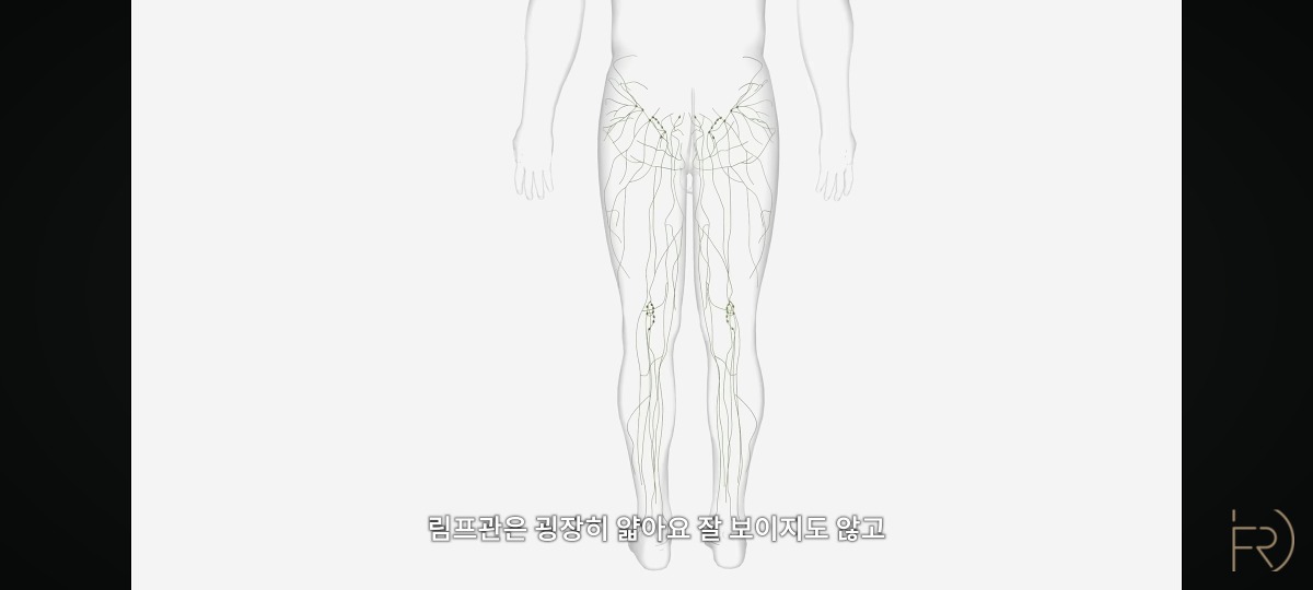 의사가 말하는 종아리 마사지(기계) 하지말아야하는 이유.jpg | 인스티즈