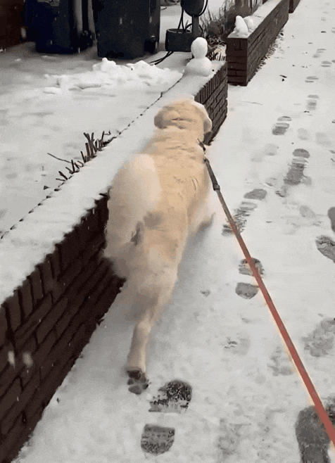 내 코 내놔 | 인스티즈