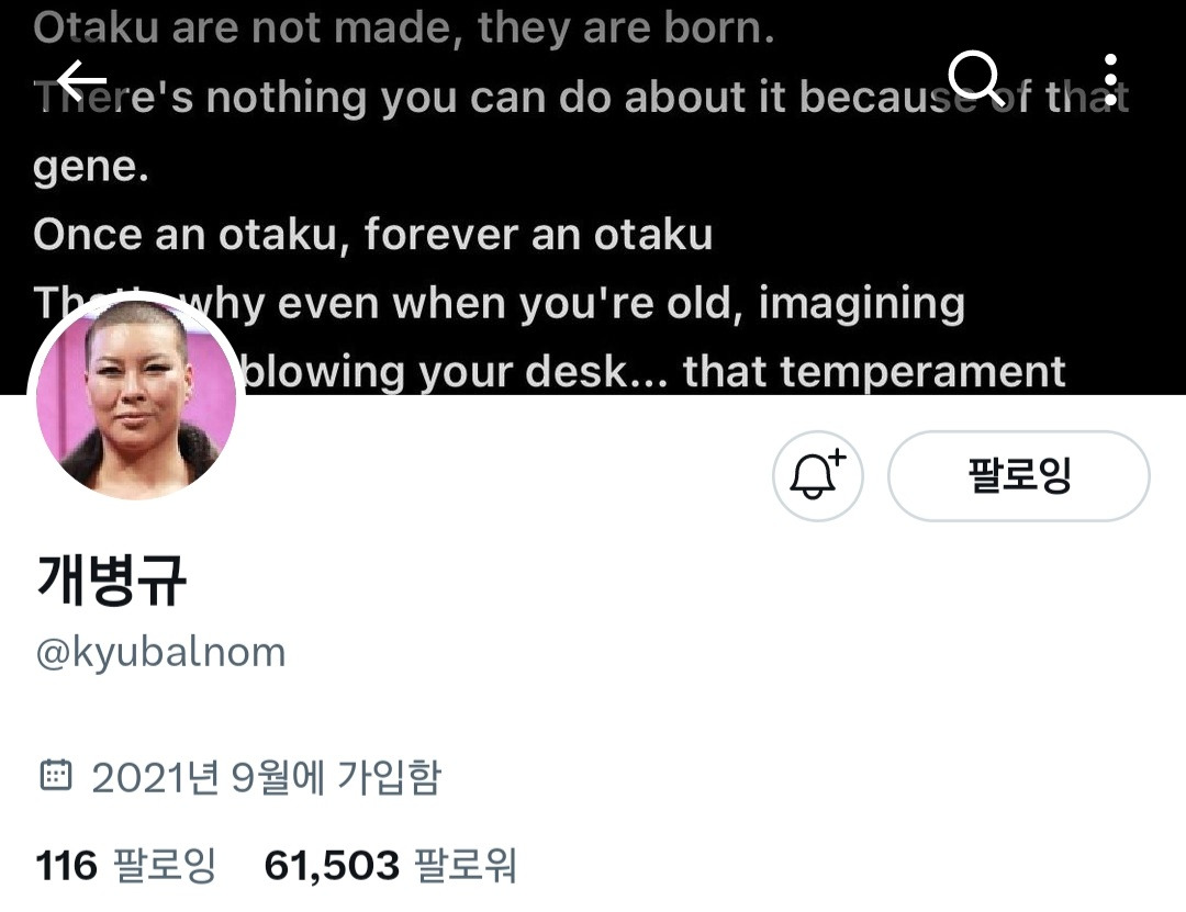 나도 트위터 재밌는 글 눈팅만 하고싶은데.. 어케해야됨? 하는 여시들 계정 추천🐦 - 콧멍에트💛잇게짤털 - ＊여성시대＊ 차분한  20대들의 알흠다운 공간