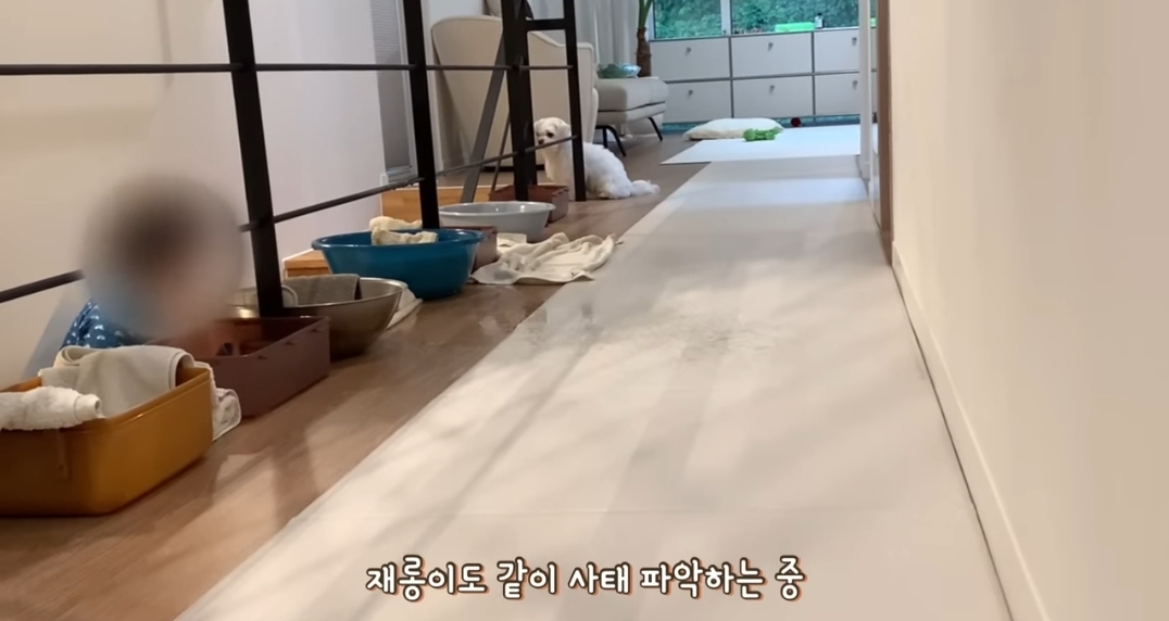 새로 이사온 주택에 물이 새요.jpg | 인스티즈