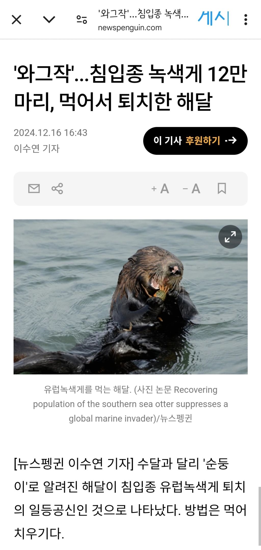 '와그작'...침입종 녹색게 12만 마리, 먹어서 퇴치한 해달 | 인스티즈