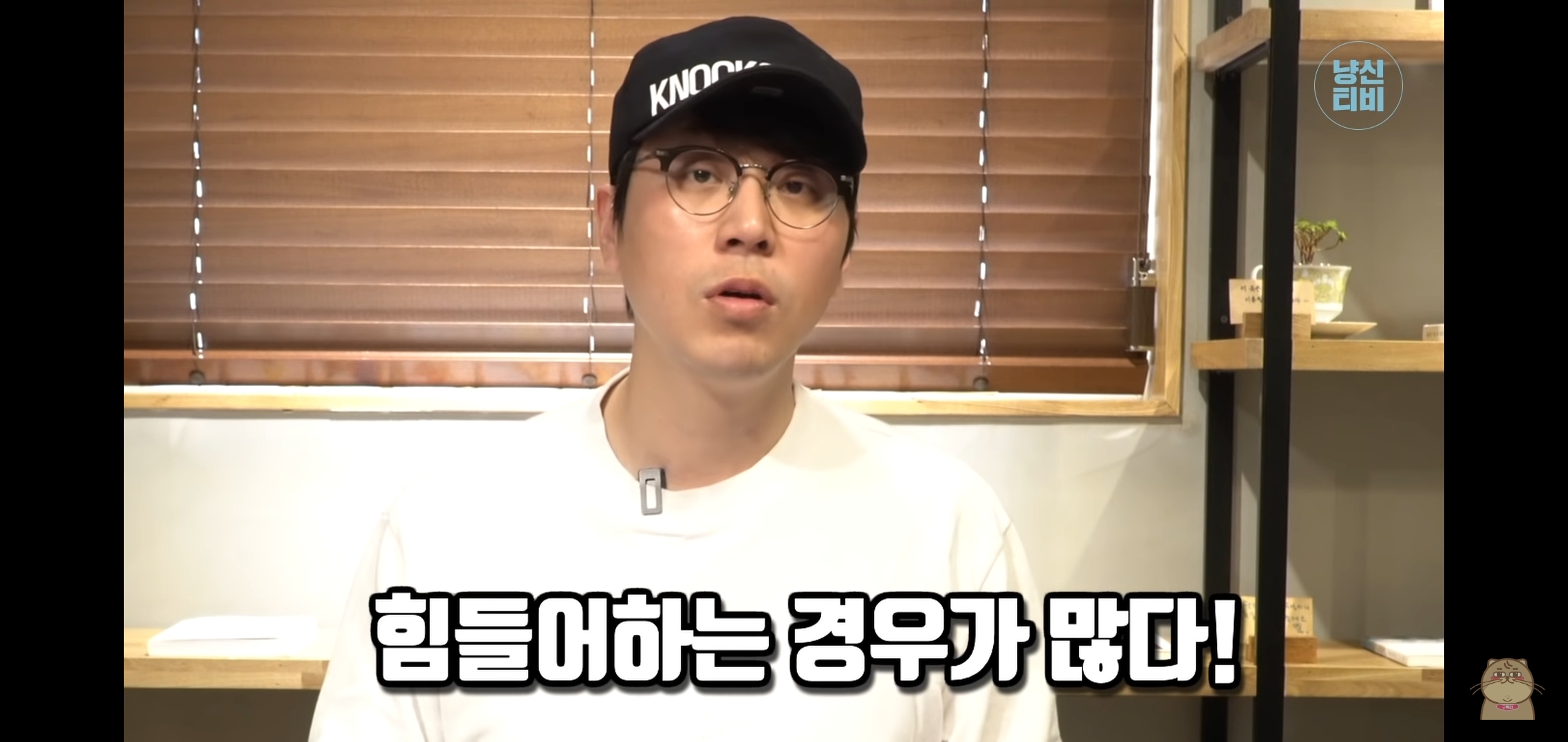 고양이 산책? 하지마!!!!! | 인스티즈