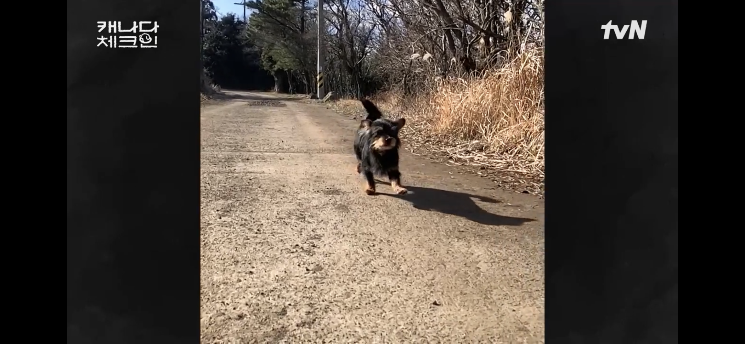 초조하게 누군가를 기다리는 이효리 | 인스티즈