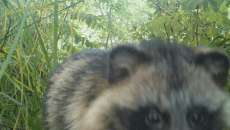 ebce0d9316a0ec3e09ef30140e9e6adb4118b74e