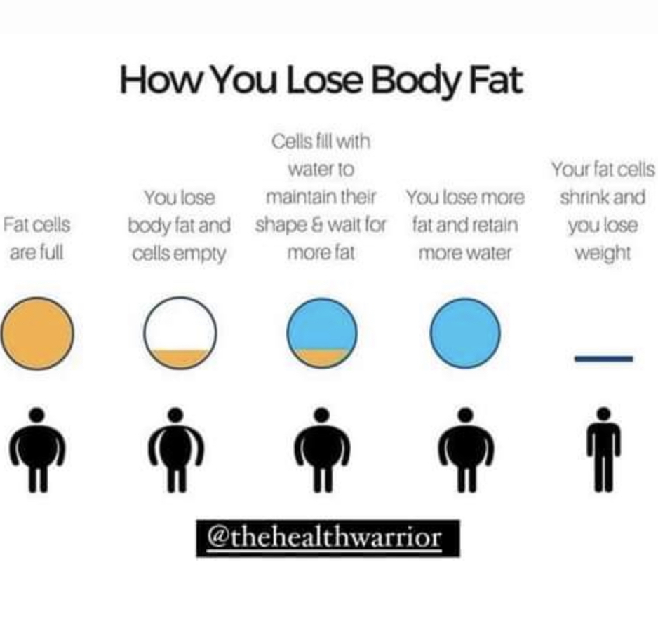 다이어트 하는데 몸무게가 오히려 늘어 | 인스티즈