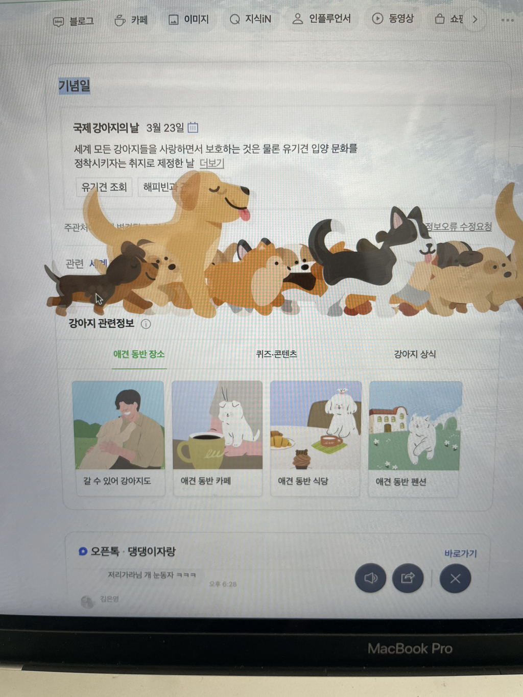 네이버에 '강아지의 날'을 검색하면 나오는 모습 | 인스티즈