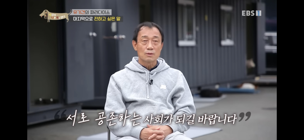 [세상에나쁜개는없다] 유기견의 파라다이스 | 인스티즈