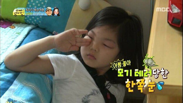 한때 짤방계의 대주주였던 아빠어디가 | 인스티즈
