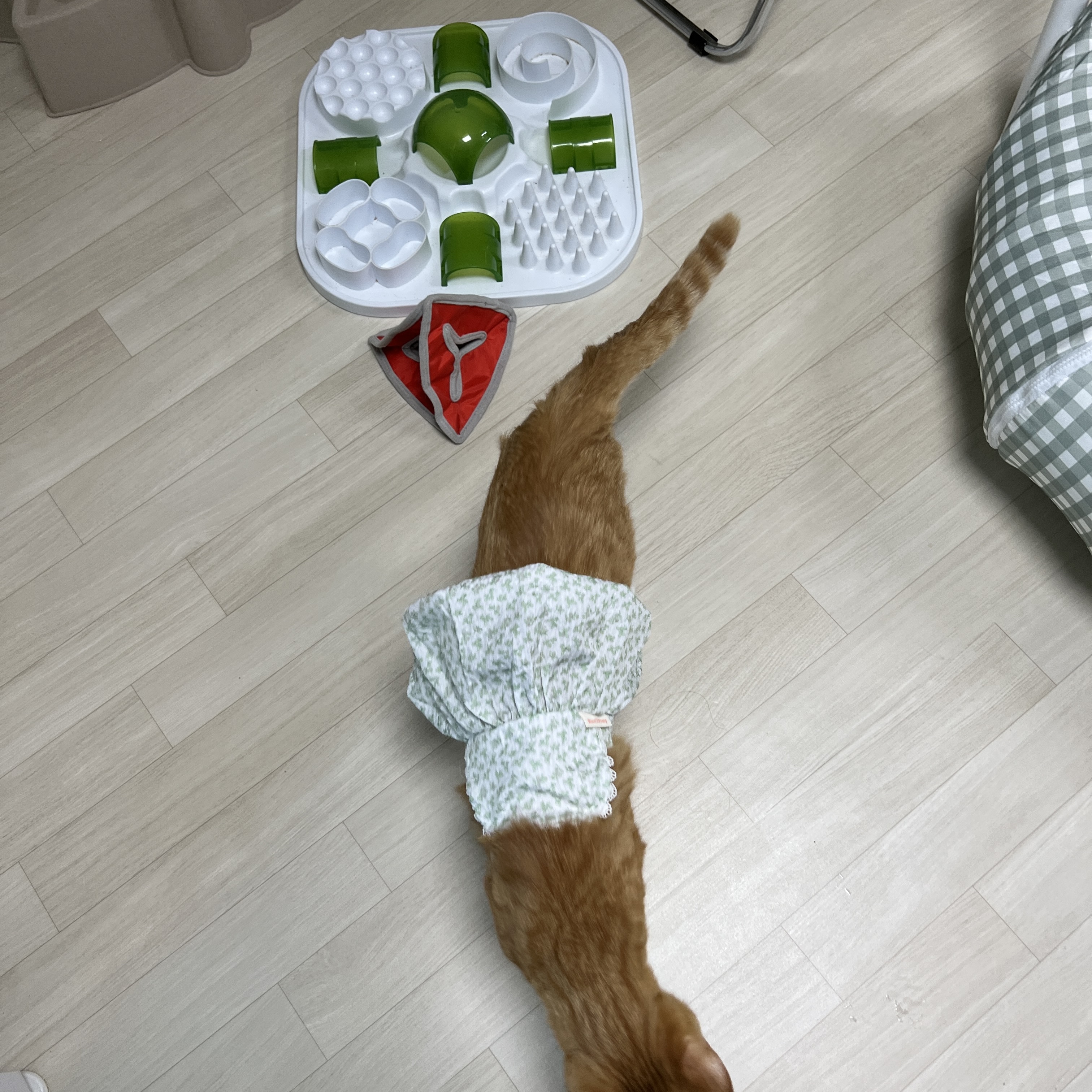 다이소 옷 사 왔는데 개웃겨 | 인스티즈