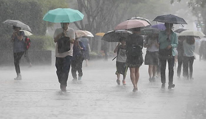 이 시점에서 여름이 더 싫다 vs 겨울이 더 싫다 | 인스티즈