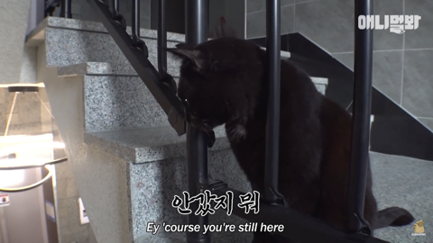 밤낮없이 집 도어락을 누르는 누군가때문에 고민인 부부 | 인스티즈