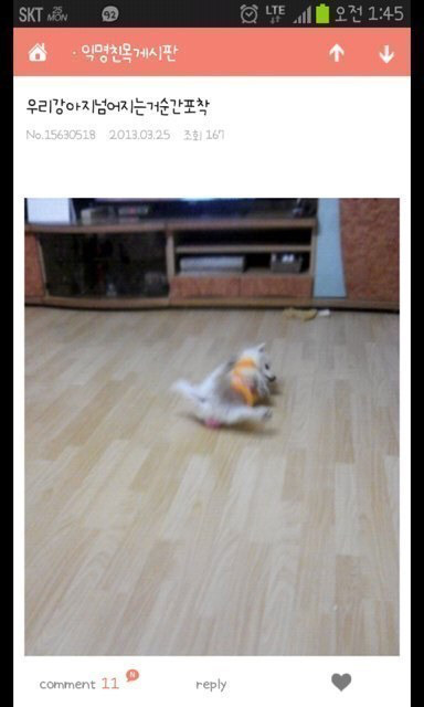 평화 이미지