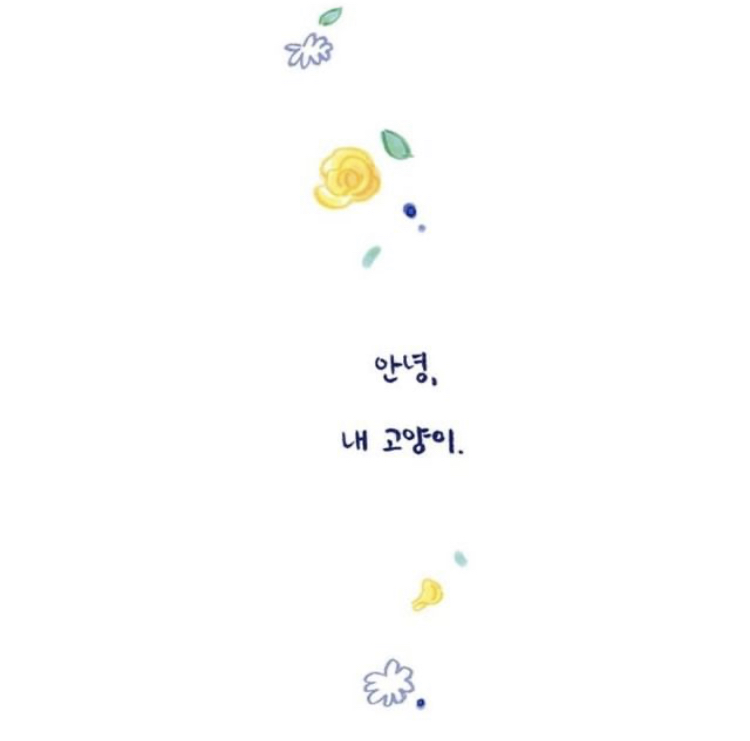 반려동물을 떠나보낸다는 것 | 인스티즈