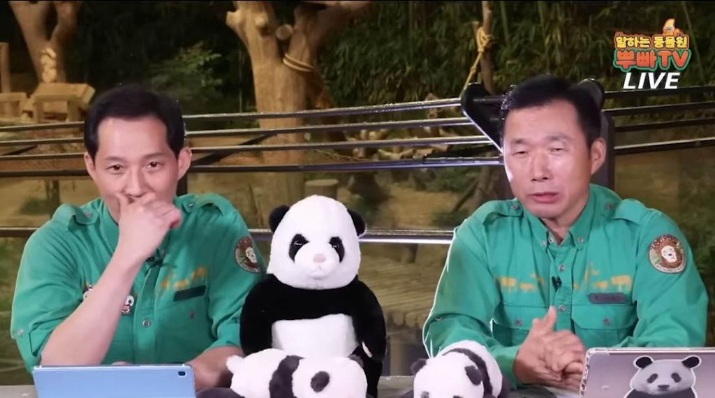 판다월드 반장선거에 나간 루이바오 🐼 | 인스티즈