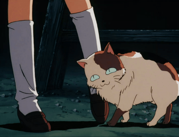 이누야샤 작가 피셜 이누야샤 캐릭터들 능력치 | 인스티즈