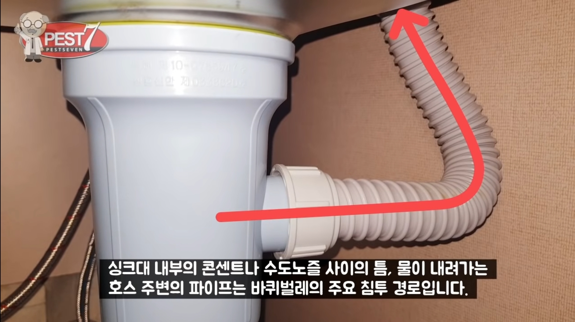 원룸 바퀴벌레 주요 유입구(벌레사진주의) | 인스티즈