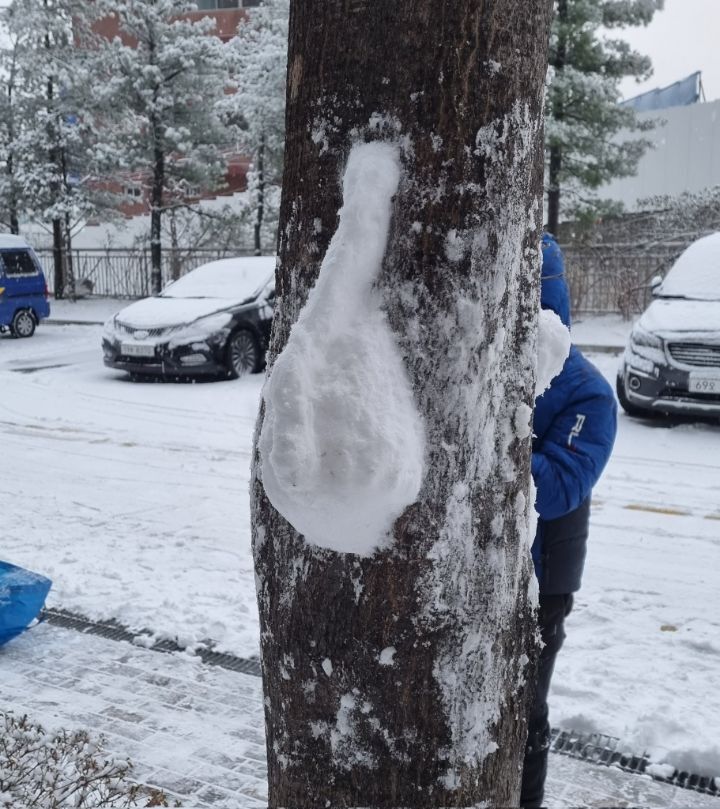 우리 언니가 만든 눈토끼 볼사람.twt | 인스티즈
