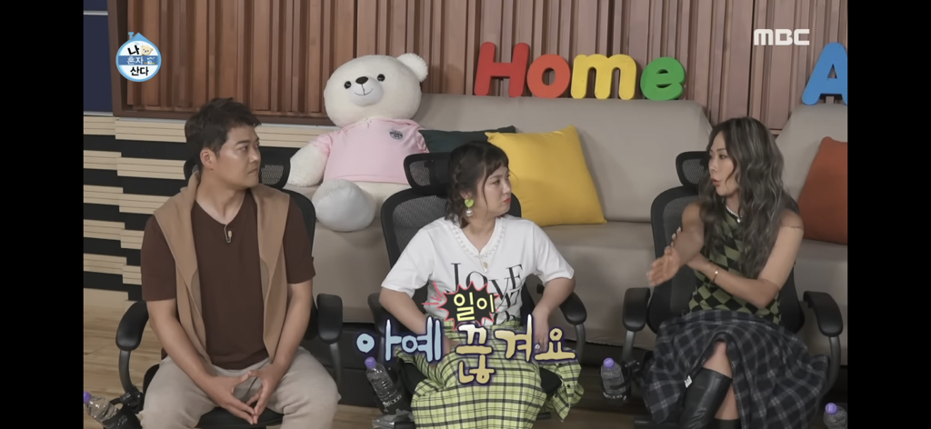 [나혼자산다] 홀리뱅 창단 멤버 댄서에게 미친 출산,육아의 영향 | 인스티즈