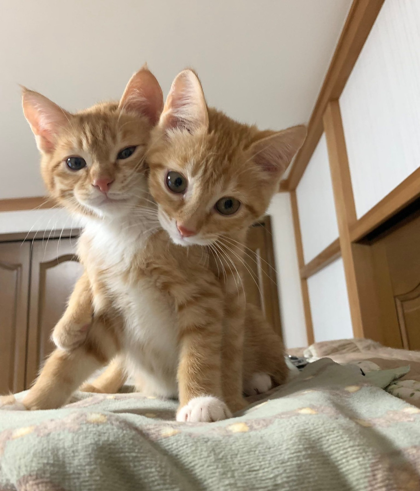 본인이 생각하는 매력이 넘치는 사람 특징 달글 - 악플달면 쩌리쩌려버려 - ＊여성시대＊ 차분한 20대들의 알흠다운 공간