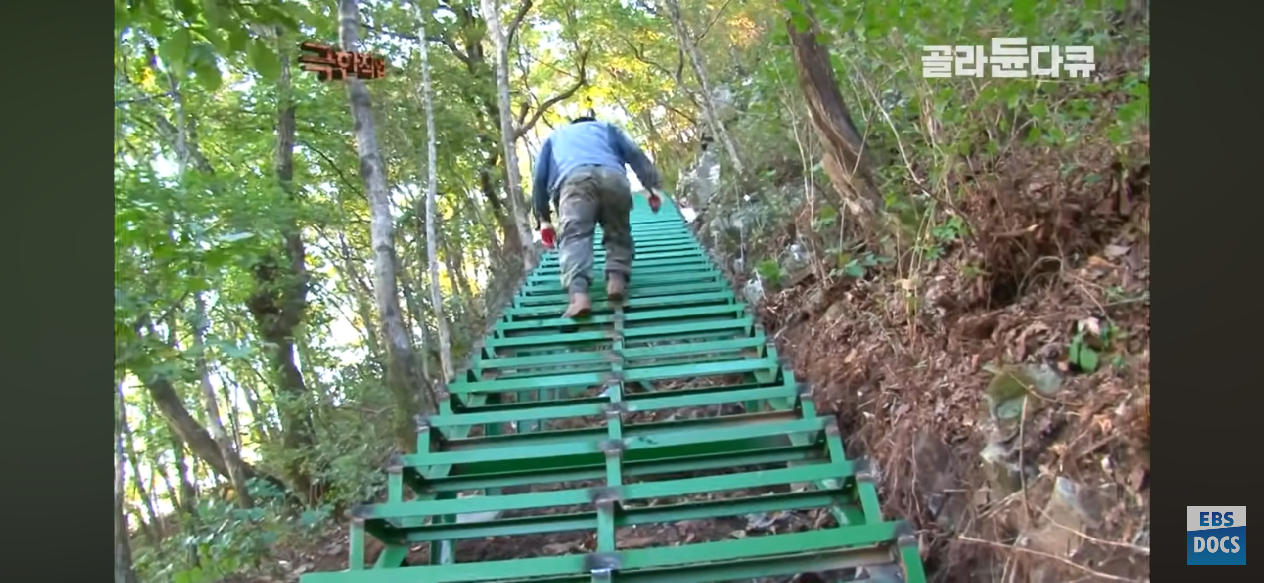 등산로, 어떻게 만들까?.jpg | 인스티즈