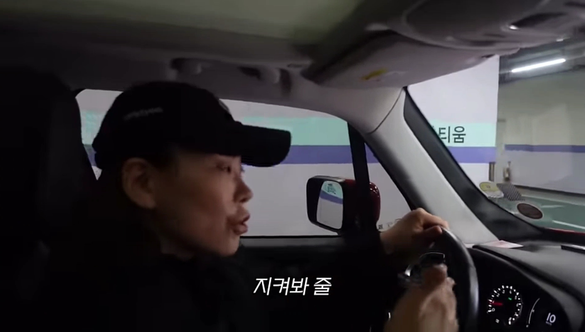 드디어 강아지 입양한 가비.youtube | 인스티즈