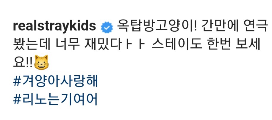 스트레이키즈 리노가 키우는 고양이 세마리.jpg | 인스티즈