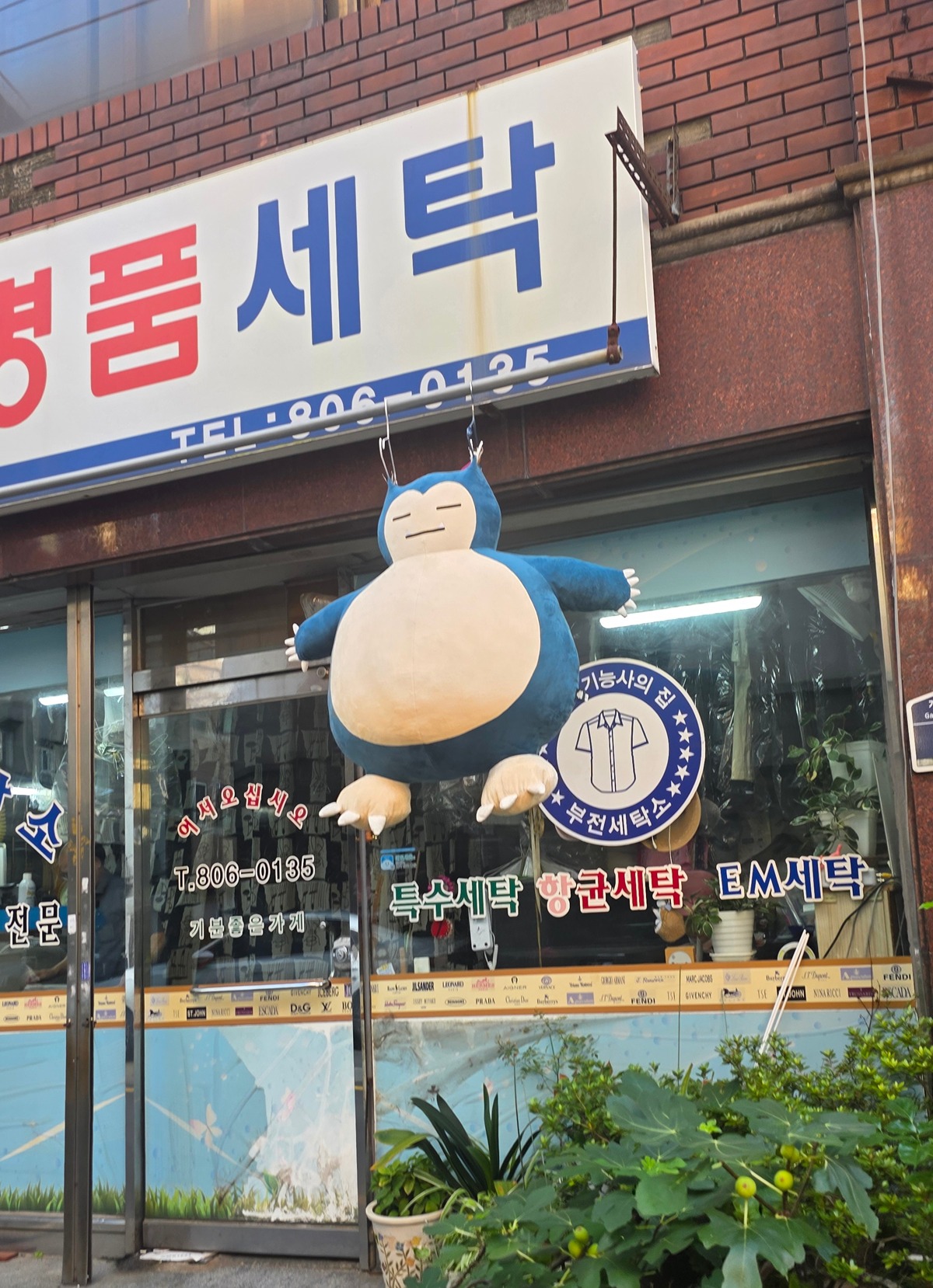 우리동네 세탁소에 누가 인형 맡겼나 봐 | 인스티즈