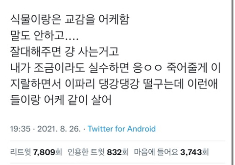 식물이랑 교감을 어케함? | 인스티즈