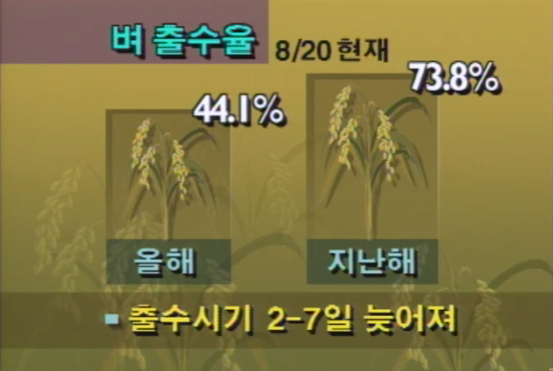 역대급으로 시원했던 1993년 여름 | 인스티즈