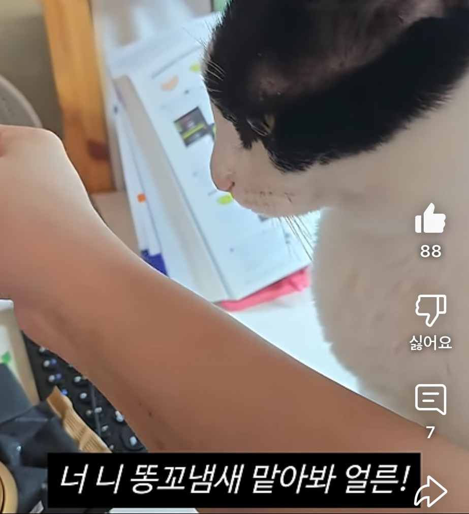 언니는 내 거야! - 악플달면 쩌리쩌려버려 - ＊여성시대＊ 차분한 20대들의 알흠다운 공간