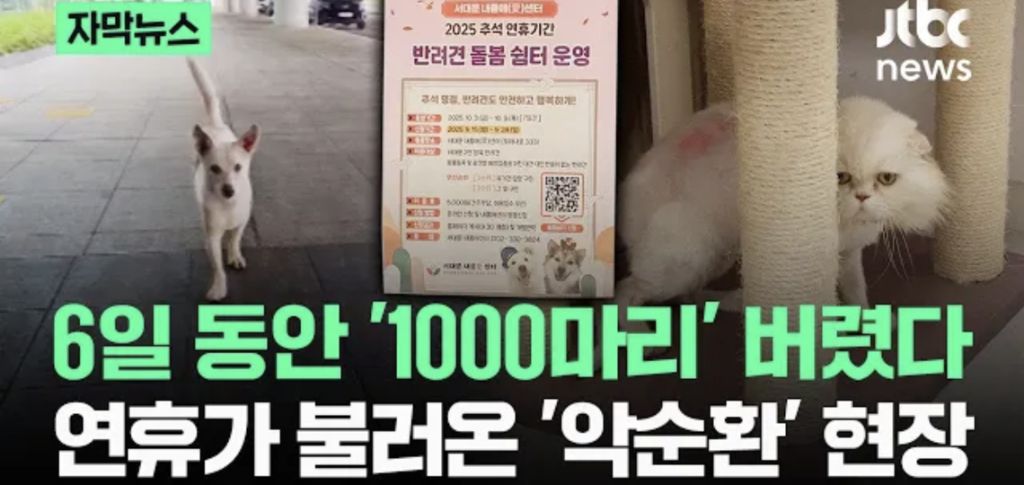 6일 동안 1000마리 버렸다... 연휴가 불러온 악순환 | 인스티즈