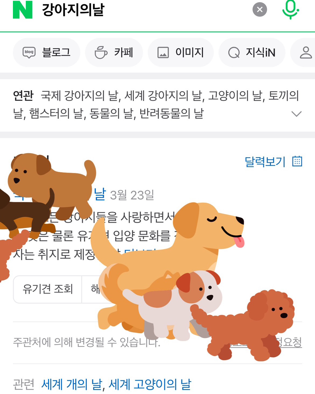 네이버에 '강아지의 날'을 검색하면 나오는 모습 | 인스티즈