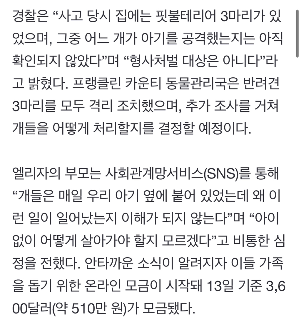 매일 붙어지내던 반려견의 습격… 생후 7개월 아기 숨져 | 인스티즈