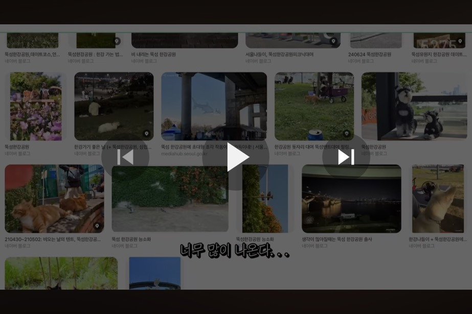 꽁꽁얼어붙은 한강위를 걷는 고양이는 몇살일까? | 인스티즈