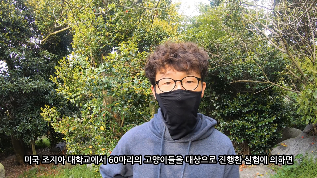 고양이가 자연생태계에 끼치는 심각한 영향(새 사체사진있음) | 인스티즈