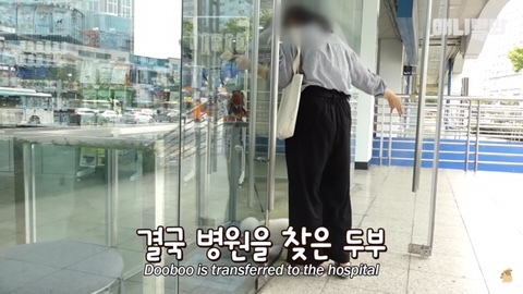 돌멩이를 물고 다니는 강아지 | 인스티즈