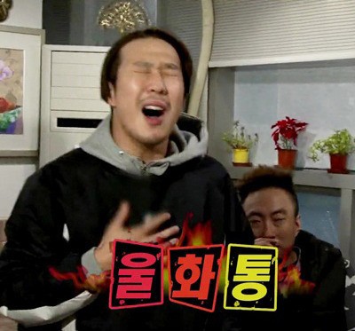 너무 많아서 주어 특정도 안된다는 연예인들의 반려동물 입양과정 | 인스티즈