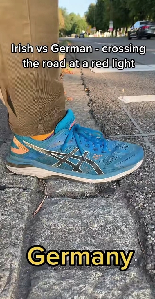 횡단보도에서 차도 없는데 초록불로 바뀔 때까지 기다린다고...??? | 인스티즈