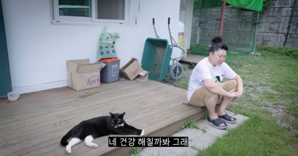신발 물어 뜯은 고양이 찾아간 이영자 | 인스티즈